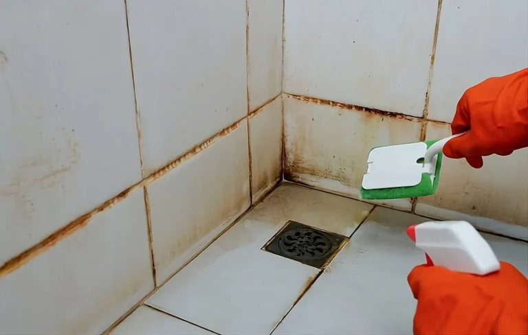 mold in shower