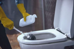 how to remove toilet bowl ring