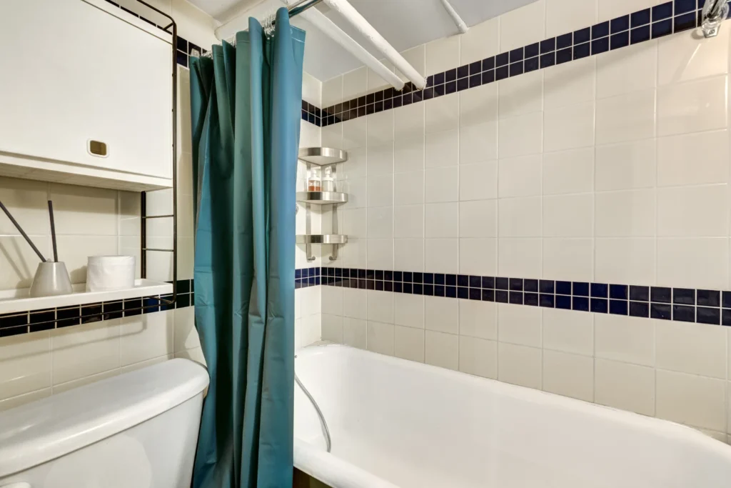 black mold on shower curtain