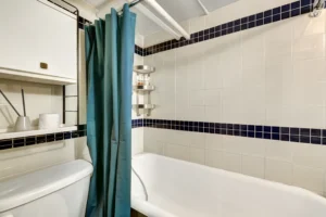 black mold on shower curtain