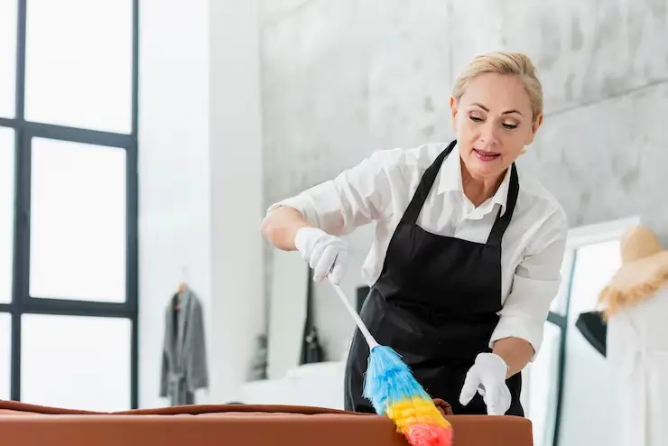 monthly bellevue cleaning services