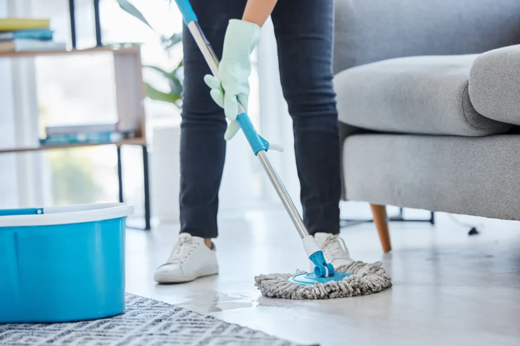 bi-weekly house cleaning