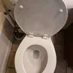 madison deep cleaning toilet 2