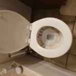 madison deep cleaning toilet before