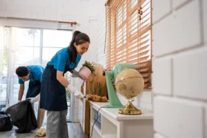 can i customize my cleaning plan